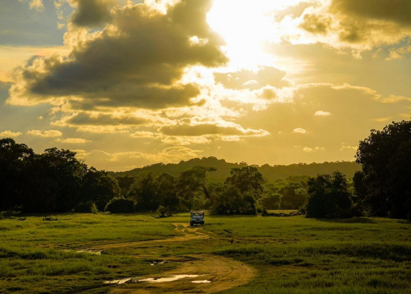 Lakmal Homestay ,10 Minutes To Sigiriya Rock Εξωτερικό φωτογραφία