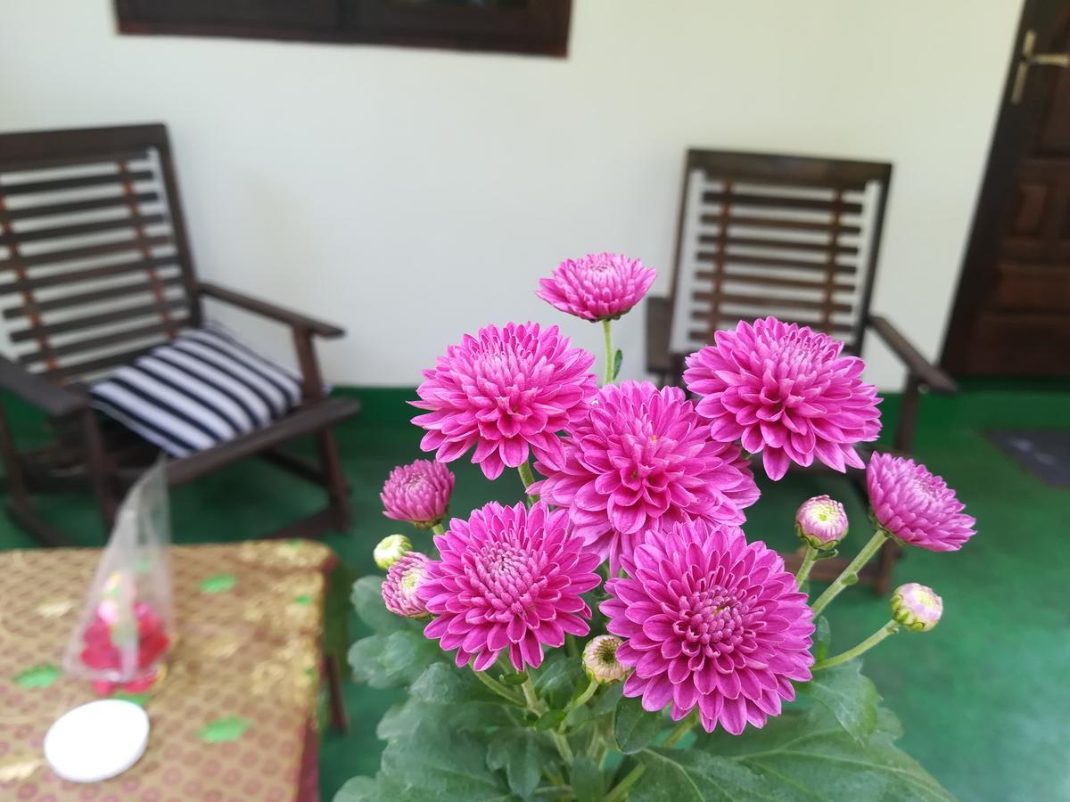 Lakmal Homestay ,10 Minutes To Sigiriya Rock Εξωτερικό φωτογραφία