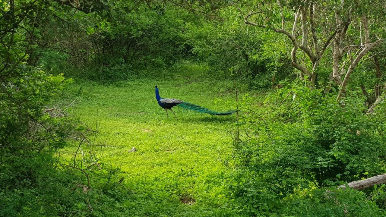 Lakmal Homestay ,10 Minutes To Sigiriya Rock Εξωτερικό φωτογραφία